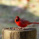 사진촬영과 표현 이미지