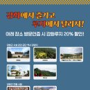 [유아단체/방문형]상상하는 아시아 | 강화도 루지체험 후기 씨사이드리조트 곤돌라 루지 가격 할인 예약 시간 총정리