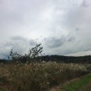 순포습지 이미지