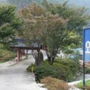 순천향매실마을 이미지