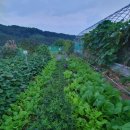 후겸농장 이미지