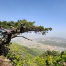 경주 인내산/남사봉/구미산/용림산 이미지