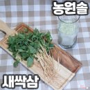 강솔축산