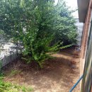 시립가곡어린이집 이미지