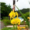 스포츠파크 공설운동장 이미지