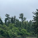 맑은운동화빨래방(성산점) 이미지