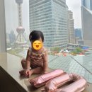 명주택시(주) | 상하이 3일차 : 홍쿠이지아, 난징동루, 신세계백화점, 정대광장, 위쿠 카오위, 루이싱커피, 동방명주