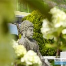 의령 중교리 석조여래좌상 | 의령 중교리 석조여래좌상