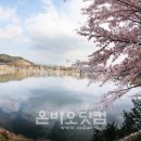 연분홍민박 이미지