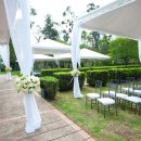 홍연남북결혼 이미지