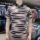 H2533 이미지
