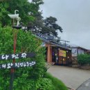 청양고추냉면