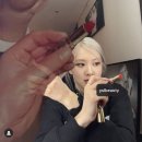 페이퍼 미러