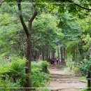 열린마음정신건강의학과의원 이미지