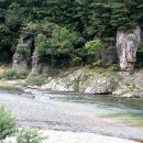 내린천 자연세상 이미지