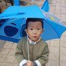 월배유치원 이미지