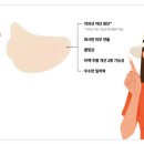 정우의학서적 이미지
