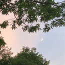 하삼동커피 양산경찰서점