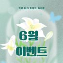 다준 이미지