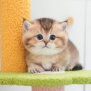 연제구-045 이미지