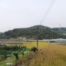 집현면1 이미지