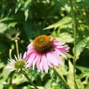 고모저수지 이미지