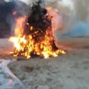 장수송학골로 이미지