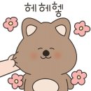 허니멜로네일