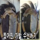 장미 수선 이미지