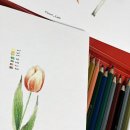 하루의 시작, 펜&수채 일러스트 이미지