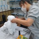 에이치에스교육