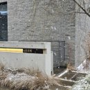 호텔나무 이미지