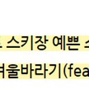 겨울바라기AC 이미지