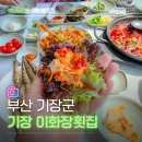 이화장 | 2026년 기장멸치축제가 개최되는 대변항 기장 맛집 이화장횟집
