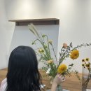 플로피아 이미지