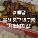 지코바숯불양념구이 | [울산 배달] 지코바숯불치킨 순살양념구이 보통맛 후기