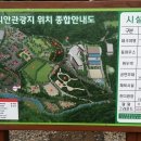 다리안민박 이미지