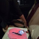 상어 | [세부]🌊 세부 오슬롭 고래상어 투어 후기｜진짜 눈앞에서 본 감동적인 순간🐳