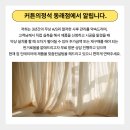 부산 봉래동 커튼 블라인드 높은 품질 서비스 업체 시공 후기