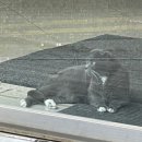 (주)에이치씨엠 | [220618] 시험을 안보기로 했다