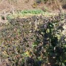 예금농장 이미지