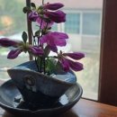 범어가마솥 이미지