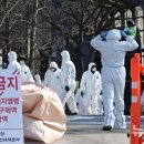 화성양돈 이미지