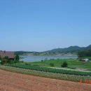 마금목장 이미지