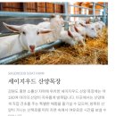 세이지우드 홍천산양목장 이미지