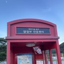 적교식당 네이버블로그