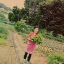 원당농장 이미지