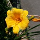 이화여자대학교박물관 이미지