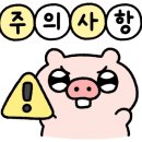 정미네일 이미지