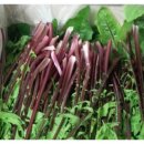 한울농원 이미지